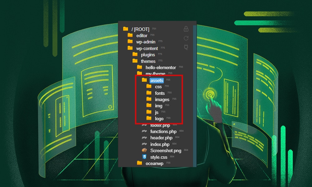 WordPress asset folder