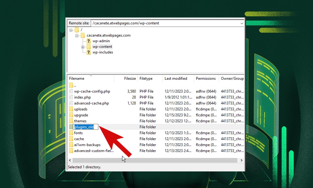 rename plugin folder