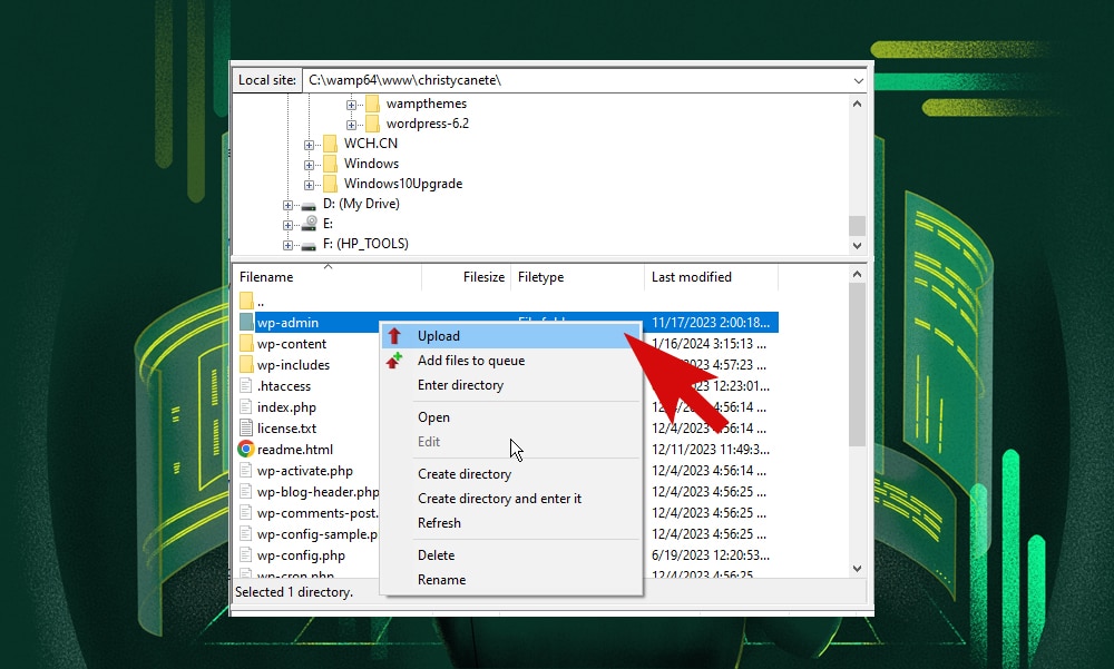 replace WordPress core files