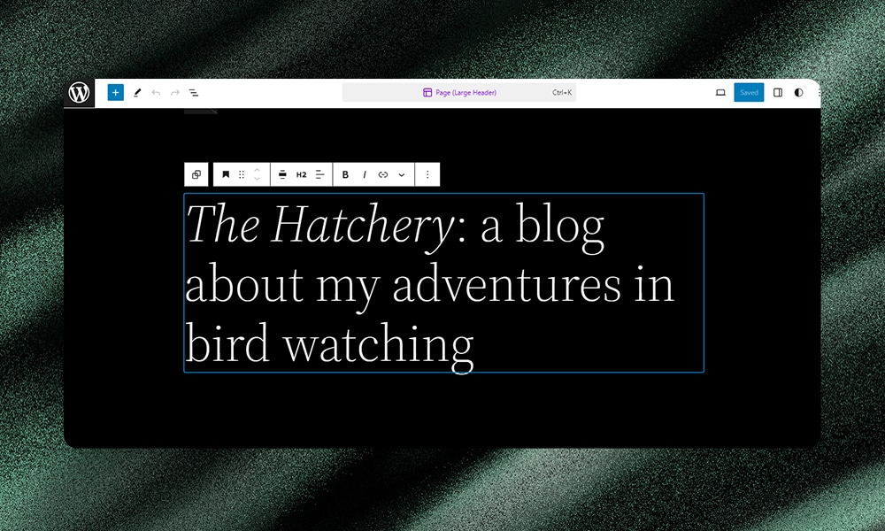 WordPress visual editor