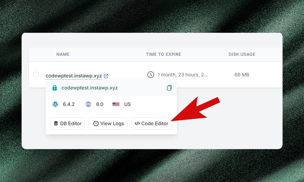 access InstaWP editor