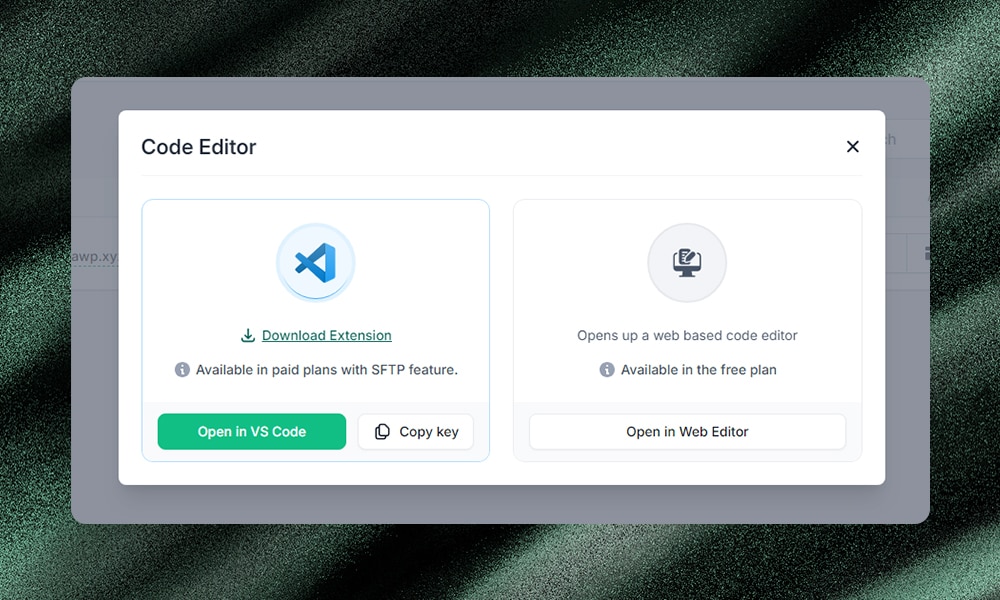 InstaWP editor options
