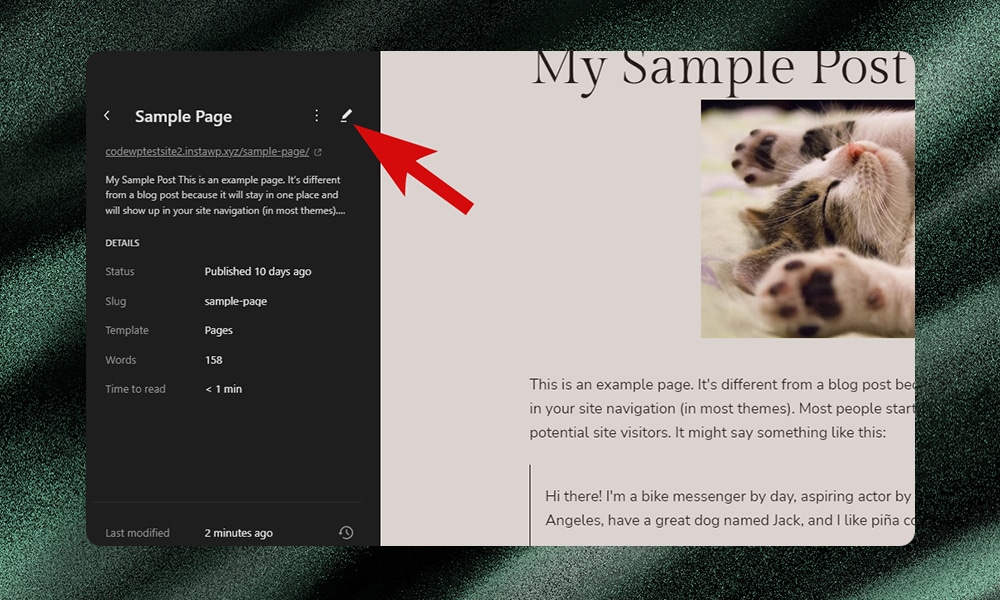 WordPress editor edit page