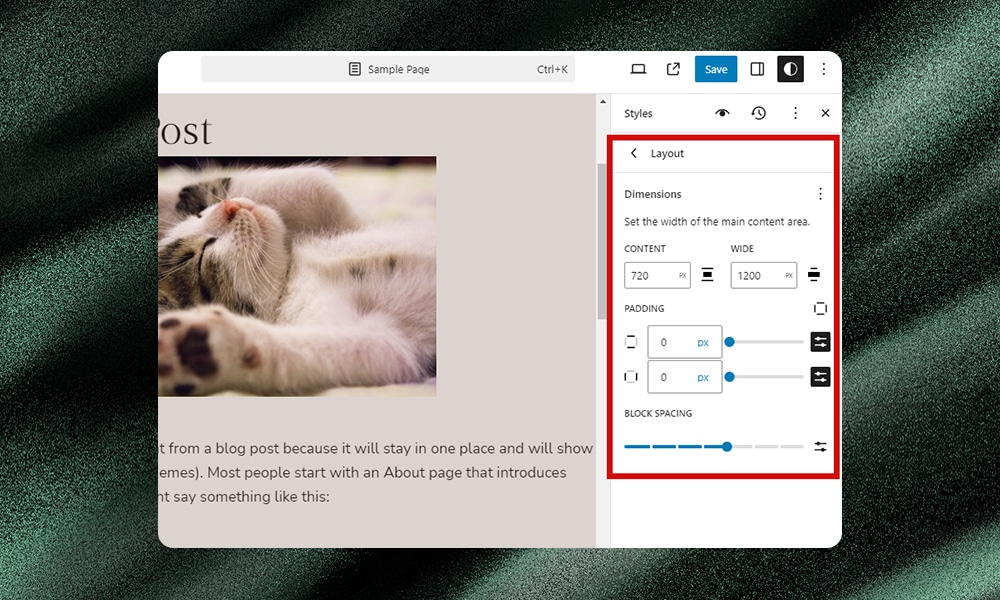 WordPress editor layout options